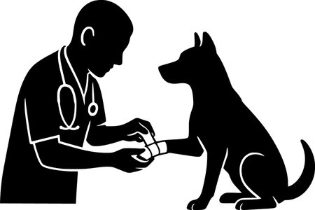 Vet Bandaging Animal Silhouette, Professional Pet Injury Treatment in Minimal Vector Styleのイラスト素材