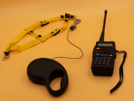 A cat or dog that escaped from a leash. Portable radio station, harness and leash on the background of gold fortune.の写真素材