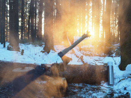 An ax at sunset in the contoured sunlight. The shish kebab, barbecue weekend. Rest in the winter forest. Hiking, outdoor activities.の写真素材