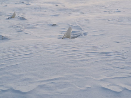 The texture of uneven ice and snow on a frozen river.の写真素材