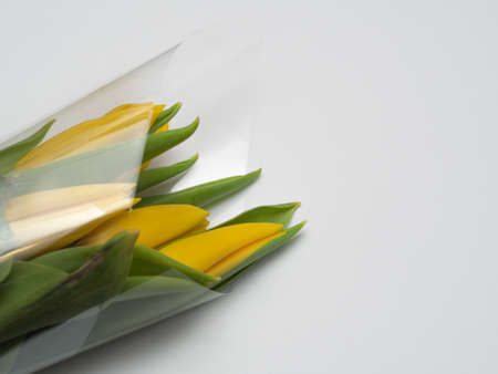 Decorated in a gift wrap, a small bouquet of flowers lies on a white background, a single-color table in the florist salon. Yellow tulips for the holiday of March 8.の写真素材