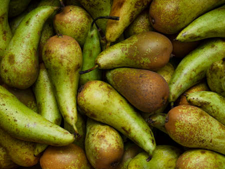 Background of ripe bright green pears with brown spots. The texture of greenhouse fruits in the...