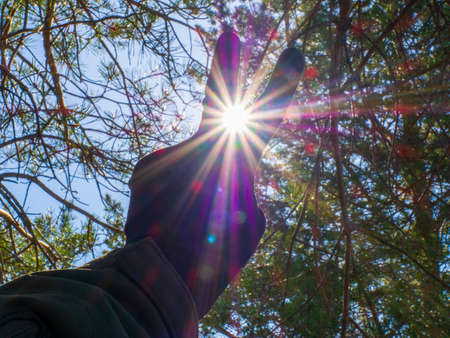 The man raises two fingers in the sun and points his index and middle fingers in the rays through the trees. The concept of the victory sign "V". Selective blur of focus.の写真素材
