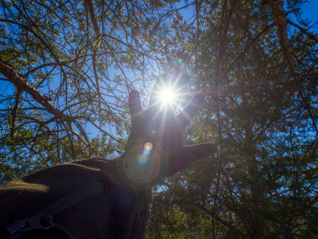 A man stretches out his hand, greets the rays of the sun through his fingers against the background of trees in the forest. The concept of hope and aspiration. Selective blur of focus.の写真素材