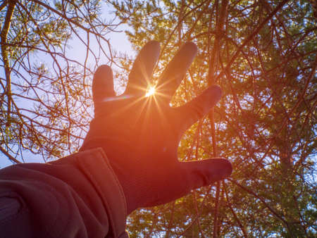 A man stretches out his hand, greets the rays of the sun through his fingers against the background of trees in the forest. The concept of hope and aspiration. Selective blur of focus.の写真素材