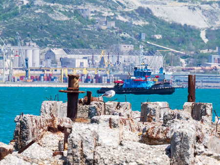 An old concrete pier destroyed by sea water against the background of a port and a tugboat. An abandoned pier littered with rocks. A lonely gull bird cleans its feathers on the remains of the bridge.の写真素材