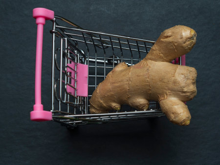One yellow ginger root is in a small shopping trolley. An exotic medicinal plant in a toy metal cart. The concept of autumn harvest and sale.の写真素材