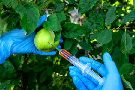 Female scientist in blue medical gloves holds syringe with a red chemical fertilizer. Crop treatment...