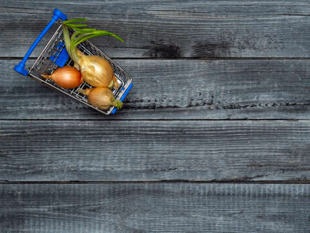 Sprouted yellow bulbs with greens in a mini shopping cart on the background of a wooden table. Farming and gardening.の写真素材