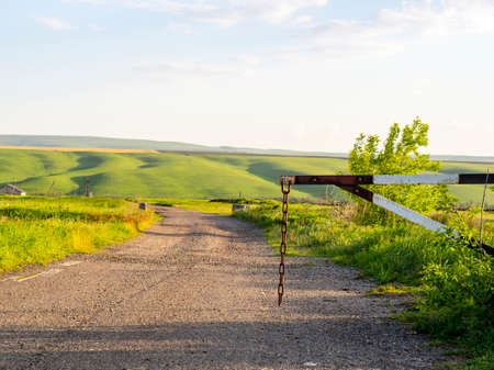 The landscape is green hills, a yellow wheat field under a blue sky with clouds. The concept of harvesting. The gate on the road to the farm.の写真素材