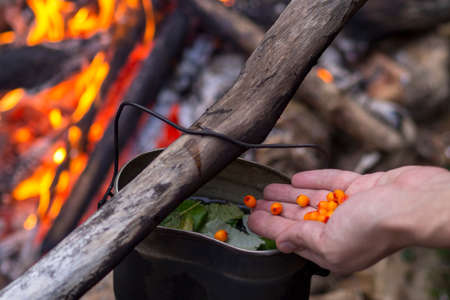 A military army bowler hat on the table at dusk. A man adds sea buckthorn berries to tea made from leaves and herbs on a fire against the background of a forest.の写真素材
