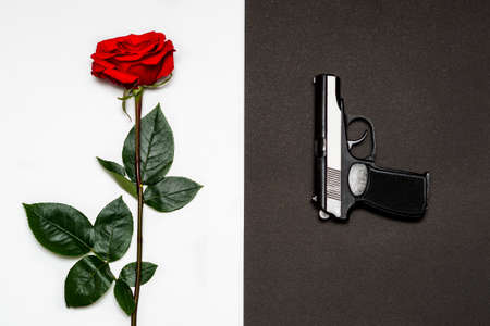 Black pistol, gun next to a red rose on a white background. The concept of passion and hatred. The choice is black or white.の写真素材
