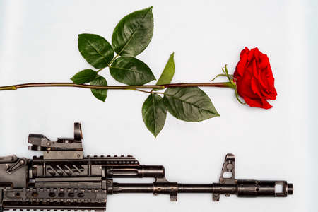 A black automatic rifle next to a red rose on a white background. The concept of passion and hatred.の写真素材