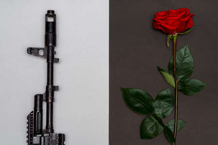 Black automatic rifle next to a red rose on a white background. The concept of passion and hatred. The choice is black or white.の写真素材
