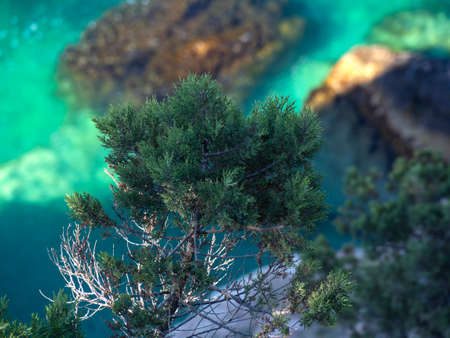 Landscape view of the rocks and the sea in the Crimea. Mountain and seascape in the velvet season of Balaclava.の写真素材