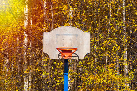 A red basketball hoop with a wooden battered shield without a net on the background of autumn yellow foliage of trees in the park.の写真素材