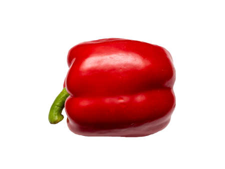 One red sweet pepper isolated on a white background without shadows.の写真素材