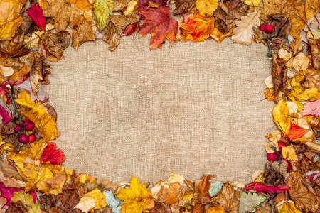 Frame with autumn dry leaves on beige burlap background. The concept of holiday wallpaper for...