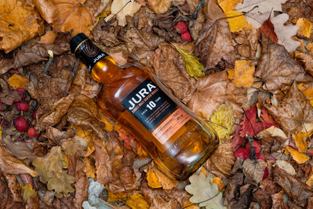 Kirov, Russia - October 20 2021: A bottle of Jura 10-year-old Single Malt Whiskey in fallen dry autumn leaves.のeditorial素材