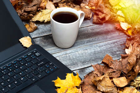 A black laptop on a wooden background of a gray table next to dry fallen autumn leaves and a mug of coffee. Morning, breakfast. The concept of remote work or study, freelance.の写真素材