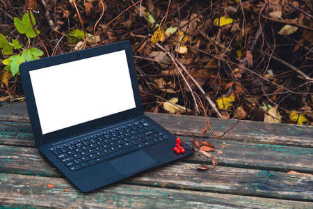 A black laptop on a wooden background of a bench next to dry fallen autumn leaves. The concept of...