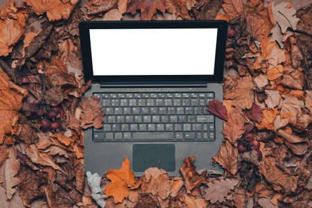 A black laptop on a wooden background of a gray table next to dry fallen autumn leaves. The concept of remote work or study, freelance.の写真素材