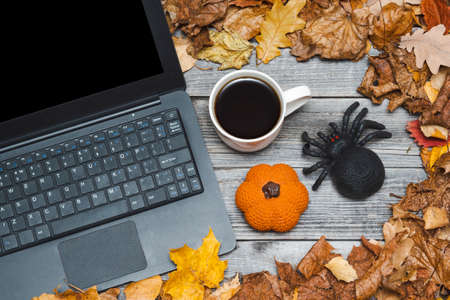 A black laptop on a wooden background of a gray table next to dry fallen autumn leaves and a white coffee mug. Halloween decor toys pumpkin and spider. The concept of remote work or study, freelance.の写真素材