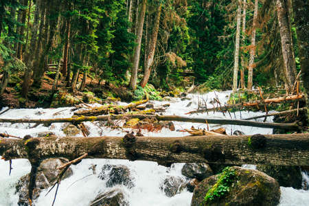 A fallen log on the background of a waterfall of a mountain river in the Caucasus, Dombay.の写真素材