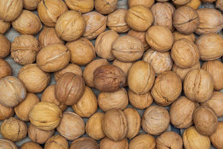 Background of many walnuts in closed shell in the whole frame. Nuts in a box of the market.