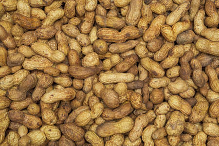 Background of many peanuts in a closed shell close-up in full frame. Nuts on in a box on the market.