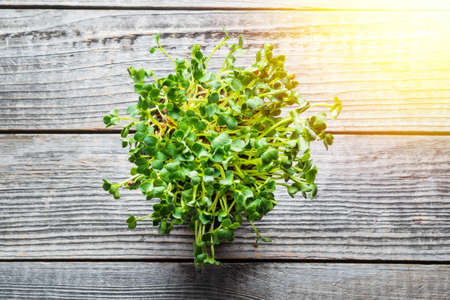 Microgreen in a pot on a wooden table background close-up. The concept of healthy eating, vegetarian food.の写真素材