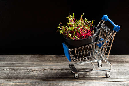 Microgreenery in a shopping cart on a wooden table on a black background. The concept of healthy eating, vegetarian food.の写真素材