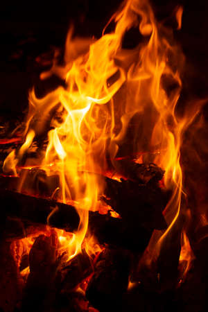 Burning wood in a campfire close-up. Selective focus. Charcoal in a bright red flame. Flashes and...