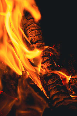 Burning wood in a campfire close-up. Selective focus. Charcoal in a bright red flame. Flashes and...