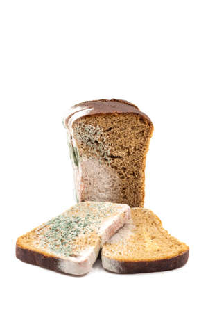 Moldy rye bread isolated on a white background close-up. The concept of out of date food.