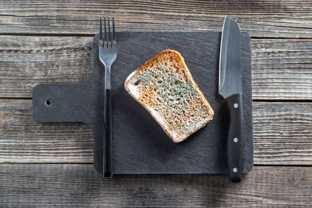A piece of rye bread spoiled in mold is rotting on a black slate cutting board next to a serving...