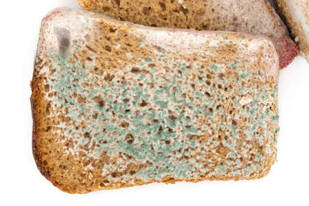 Moldy rye bread isolated on a white background close-up. The concept of out of date food.