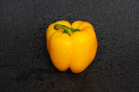 Washed yellow bell pepper with water drops on a black background.の写真素材