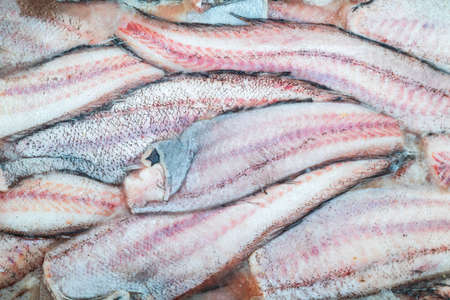 Texture of a block of frozen fish in close-up. The concept of fishing and trade. Poaching.の写真素材