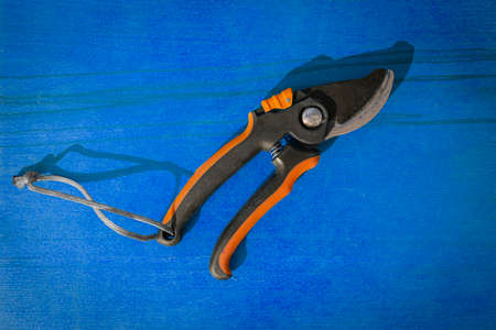 An closed old hand pruner with orange plastic handles on the background of a blue wooden table close up. A working garden tool.の写真素材