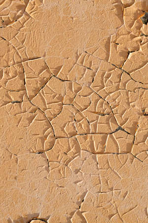 The texture of the orange old on the concrete wall.