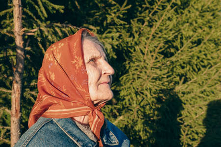Profile of an elderly woman in a headscarf and a denim jacket against the background of trees in a pine forest. Grandmother in nature in the park. copyspace.の写真素材
