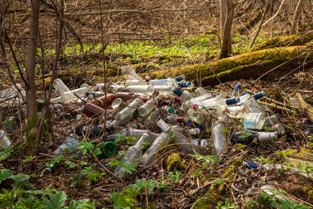 Landfill of glass bottles and garbage on the ground in the forest. The concept of environmental pollution.の写真素材