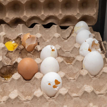 Broken spoiled white and brown eggs with leaked yolk and shattered shell in a cardboard box. The concept of organic waste. Transportation and logistics of products.の写真素材