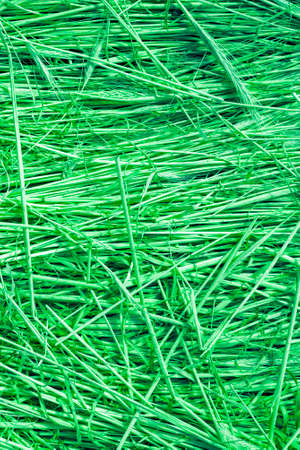 Background of dry green grass in full frame. Rural texture made of hay.