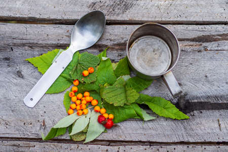 Leaves and berries for medicinal vitamin tea lie on a wooden table with an aluminum empty mug. The...