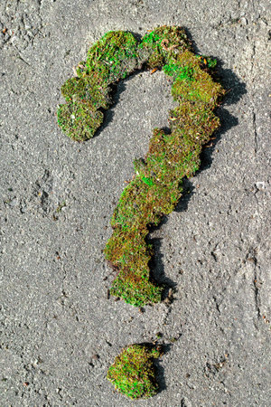 A question mark made of moss sprouted in the texture of the concrete floor. The concept of the idea of the issue of ecology.の写真素材