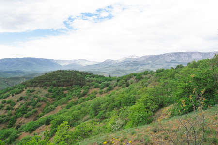 Landscape view of the hills of Crimea with mountains and green dwarf pines.の写真素材