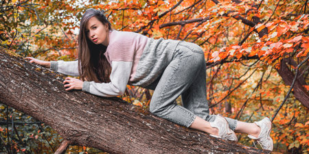 A brown haired girl in a sweater and jeans crawls along a tree branch with red autumn leaves.の写真素材