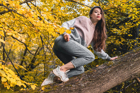 A brown haired girl in a sweater and jeans crawls along a tree branch with yellow autumn leaves.の写真素材